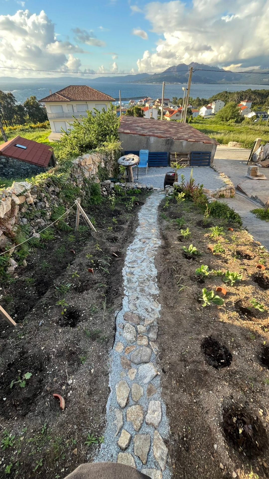 Vegetable Garden